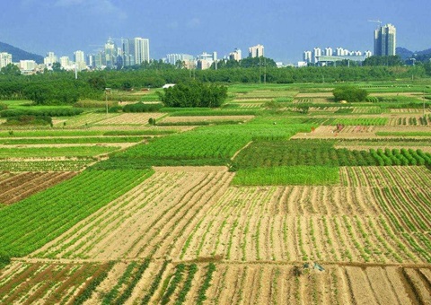 湖北省处置惩罚闲置土地17.81万亩&nbsp;&nbsp;收回面积居天下第一