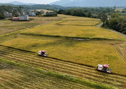 防城港市施展“土地综合整治+”效应&nbsp;&nbsp;引发墟落振兴活力