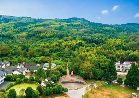 湖北首本“实景三维影像模子”林权不动产权证书在咸宁揭晓