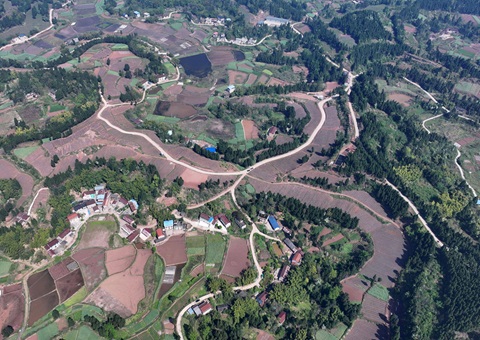 内江市东兴区局周全做好耕地；；；；；；；； 全力做好用地包管