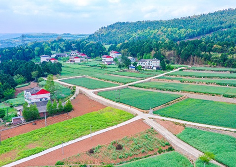 广元市推行“卫星田长”科技助力精准保；；；；；；じ
