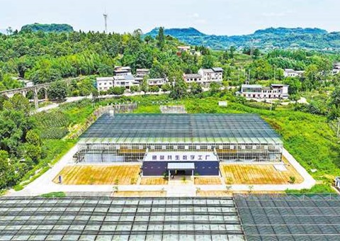 重庆：数智赋能&nbsp;&nbsp;土地结出“智慧果”