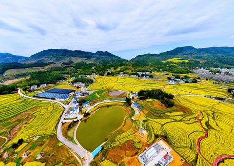 投资超千亿 &nbsp;&nbsp; 广东全域土地综合整治实现“开好局” 
