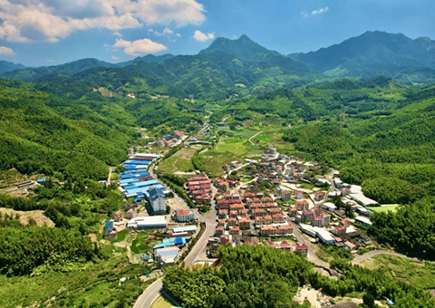 福建深化运用“知、督、促”事情机制——靶向发力 护航墟落振兴