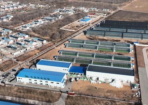 成交金额8416.32万元 &nbsp;&nbsp;宁夏探索出农村整体谋划性建设用地入市新路径