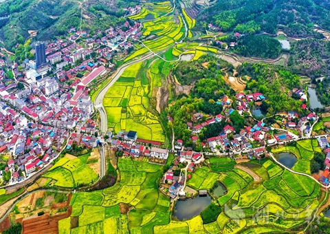 “点土成金”育新机——全域领土综合整治为湖北墟落周全振兴赋能