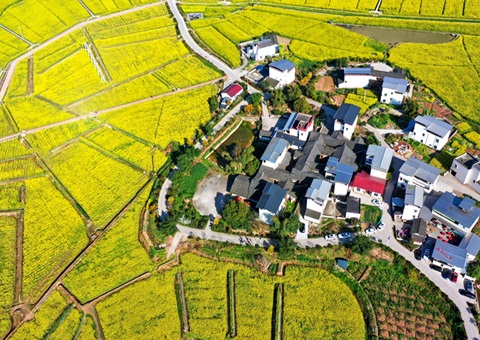 205.7亿元！&nbsp;&nbsp;四川财务下达2025年衔接推进墟落振兴津贴资金