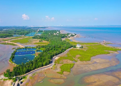 广西北部湾畔：墟落妄想引领古渔村“蝶变”