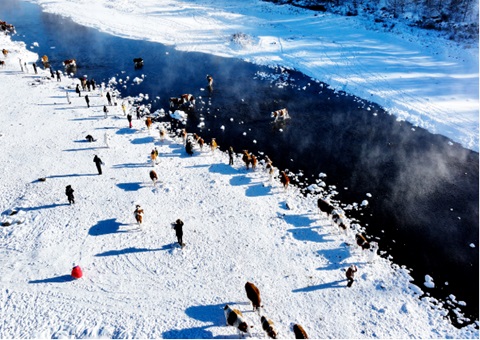 内蒙古“中国冷极”地理标记正式完工&nbsp;&nbsp;精准测绘赋能北疆生态清静与特色生长