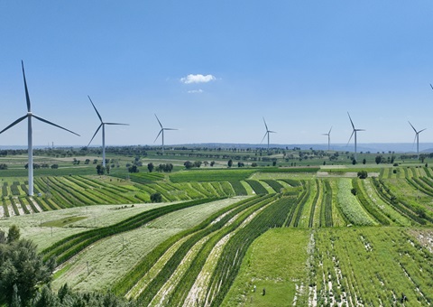 陕西省榆林市定边县：领土空间妄想“一张图”实现营业“一站式”高效打点