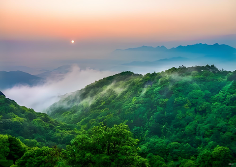 福建森林提质四放纵措打造黎民“幸？？？？？？？？可健