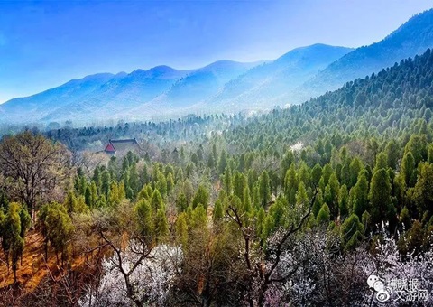 安徽宿州探索场村相助共建防护林网