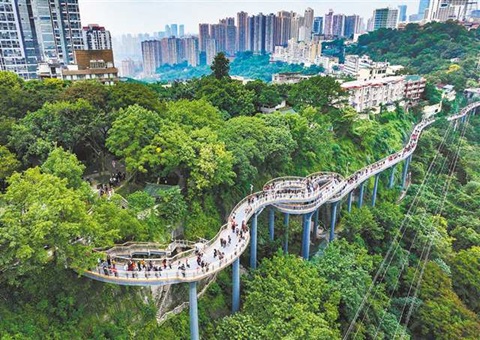 山城步道里的“大原理”