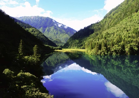 预计2025年底，，，，，，四川省“林粮”产量1500万吨、产值1800亿元