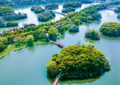 江西省湿地保；；；；ぢ室汛61.99%