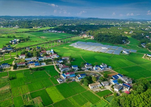 湖南：靶向发力盘活存量土地资产<br>为206家机关企事业单位定制处置惩罚计划，，，，，，，，盘活土地2.6万亩