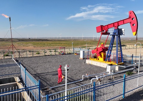 宁夏纵深推进新一轮找矿突破战略行动，，，，，，实验一批煤层气、页岩气、煤炭等勘查项目