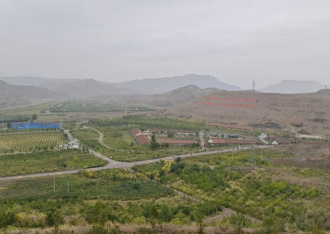 宁夏一连拉动“三山”生态保唬唬；；ば薷础敖忍酢