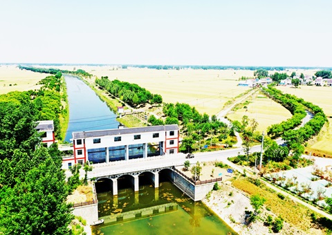 淮北市：“聘”好驻镇妄想师 做优“陪同式”墟落妄想服务