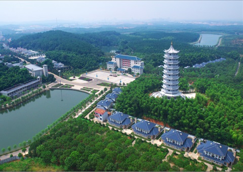 湖北：用好“一张图” ，，，，，智治有支持