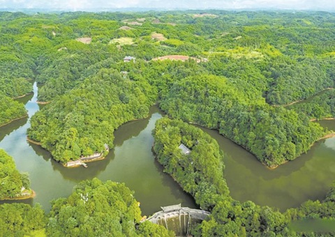 点“绿”成金促生长  成都描绘生态价值转化新画卷