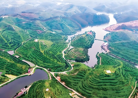 广东林业特色工业生长奖补项目实验一连推进