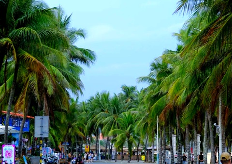 建“清凉都会”，，，，，海南有何“凉方”?