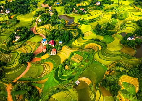 @农民朋侪 2025年重庆市耕地地力保；；；；；そ蛱苹戳