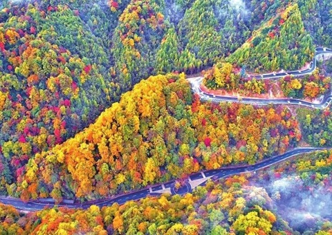 团结国教科文组织专家对巴中光雾山—诺水河天下地质公园开展再评估事情