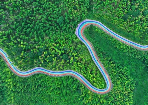 组合供应出新招，，，，，，，竹海收益节节高——桃江县“桃花江竹海”自然资源资产组合供应推动生态产品价值实现案例