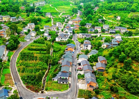 上半年重庆农村整体谋划性总收入突破26.55亿元&nbsp;&nbsp;村均收入29.13万元